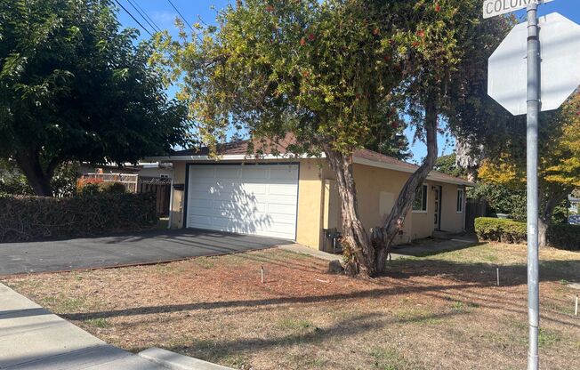 PET FRIENDLY 3 BED/1 BATH in Palo Alto Available Now