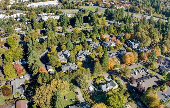 an aerial view of a neighborhood with trees and houses