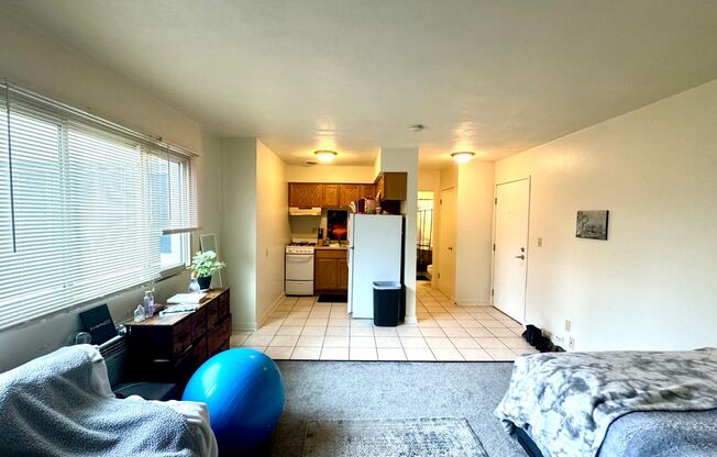 Studio, 1 bath, $725, Unit 311