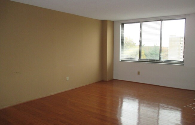 One Bedroom at Place One Condo in Alexandria