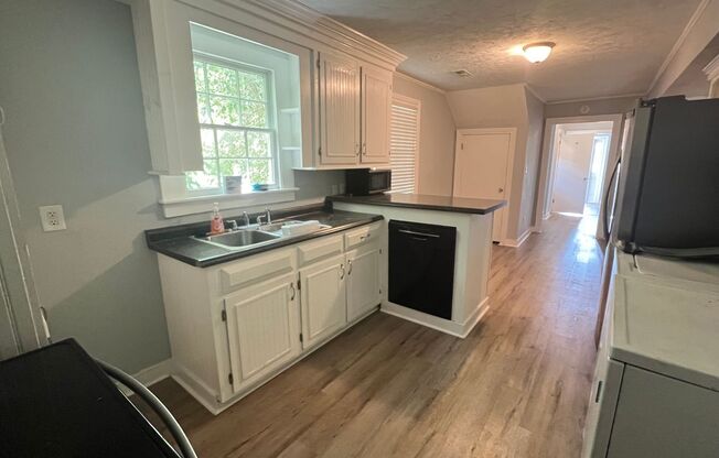 3 Bedroom 1.5 Bath Apartment - Downtown Charleston