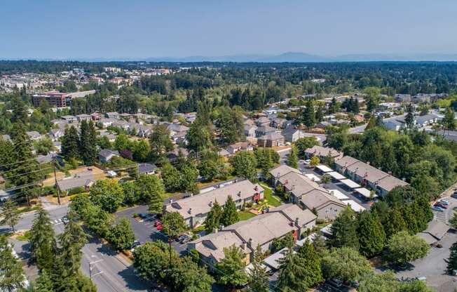 an aerial view of a neighborhood with houses and trees at Quartz Creek, Mountlake Terrace