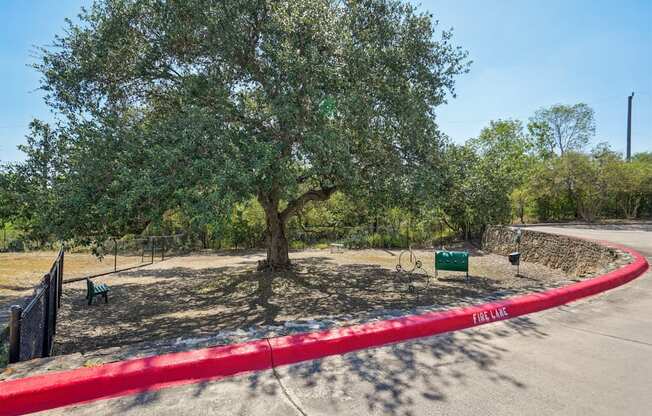 A tree in a park with a red tape that says "FIRE LINE".
