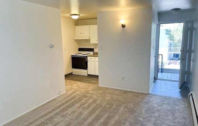 Updated 1 Bed/1 Bath Apartments in Central Colorado Springs – Near Palmer Park!