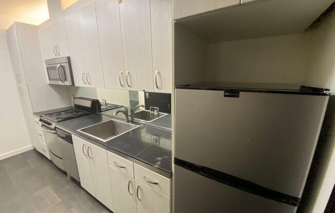 Studio, 1 bath, 388 sqft, $1,175, Unit 102