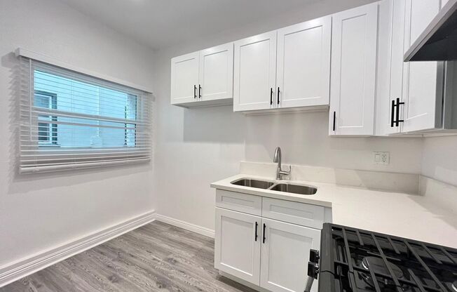 Studio, 1 bath, $1,350, Unit 103