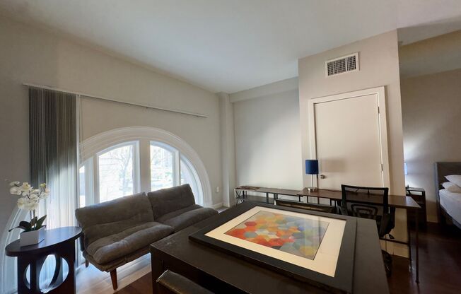 Studio, 1 bath, 419 sqft, $1,475, Unit HA-206