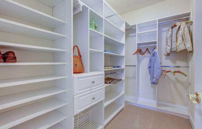 Built In Shelving In Closet at The Marque Apartments, Gainesville, 20155