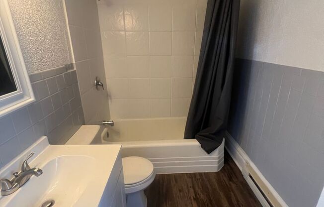 1 bed, 1 bath, $850, Unit 400 W Allen Unit 1B