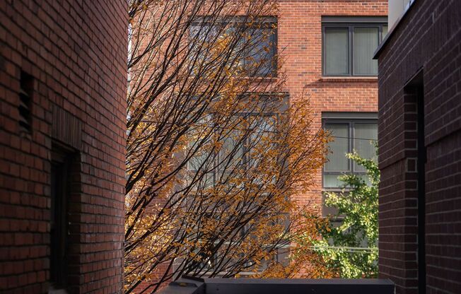 2 beds, 1 bath, 660 sqft, $2,200, Unit 208