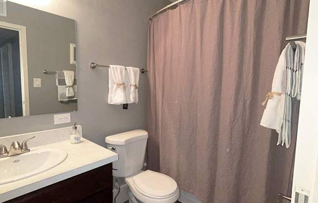 A bathroom with a toilet, sink, and shower curtain.
