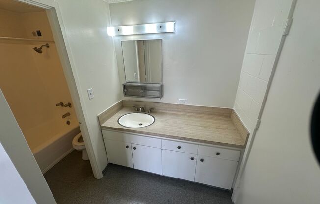 ALAPAI LOFTS LLC