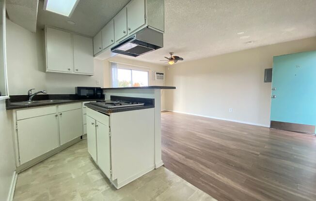 Studio, 1 bath, 410 sqft, $1,457, Unit 2A- RU