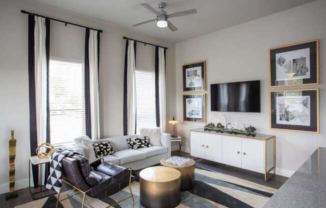 television living room view