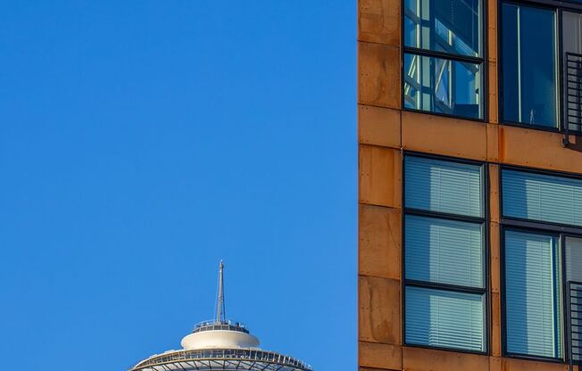 Studio, 1 bath, 236 sqft, $1,195, Unit 607