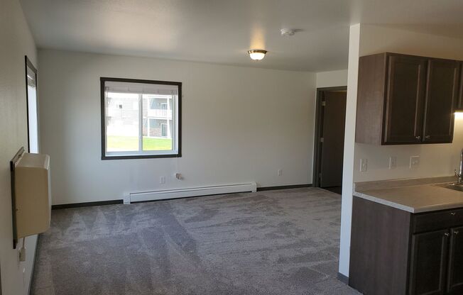 1 bed, 1 bath, 596 sqft, $850, Unit 214