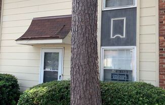 Southside-Near Oglethorpe Mall & South College