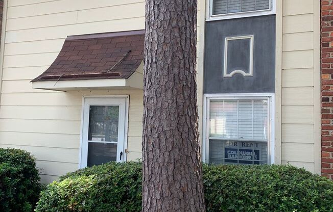 Southside-Near Oglethorpe Mall & South College