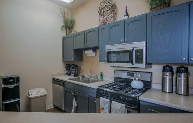 a kitchen with blue cabinets and stainless steel appliances and a sink