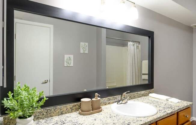 A bathroom with a sink, mirror, and a potted plant.