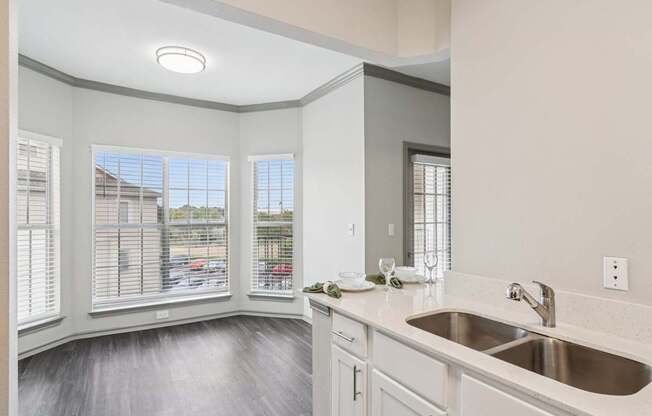 A kitchen with a sink and a window.