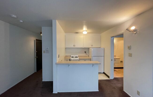 1 bed, 1 bath, 405 sqft, $1,545, Unit 208