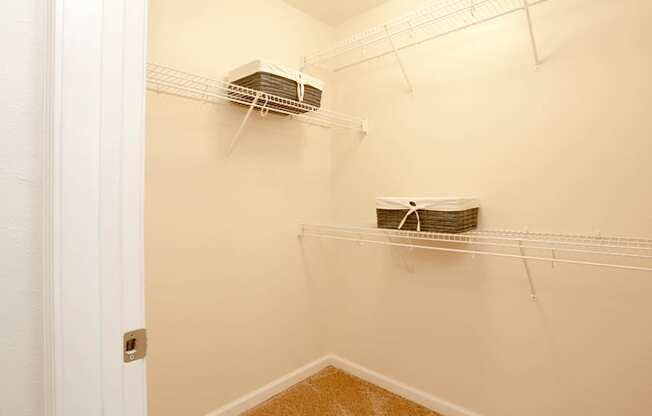 a spacious walk in closet in the second bedroom