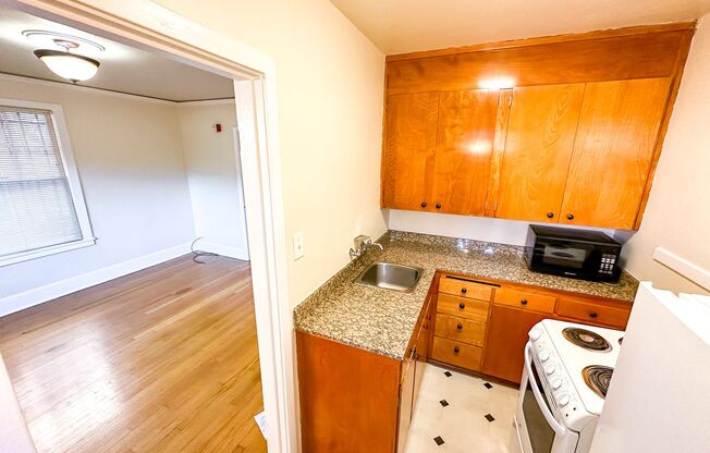 Studio, 1 bath, 365 sqft, $995, Unit 111