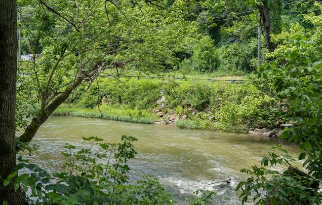 a river flowing through a forest next to a river at River Mill Lofts & Skyloft, Asheville, NC