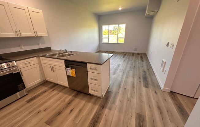 Large One Bedroom Close to Vancouver Mall