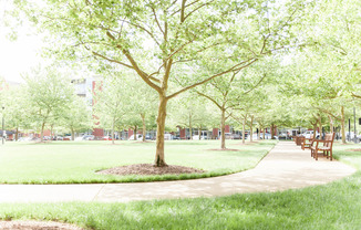 Styron Square Apartments