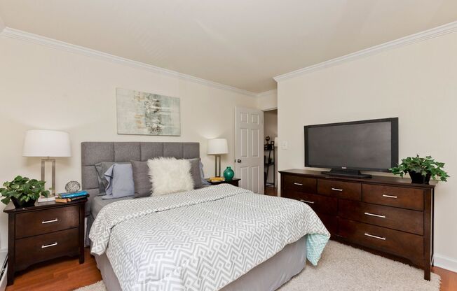 1 bed, 1 bath, $1,595, Unit 201