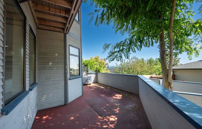 Terrace View