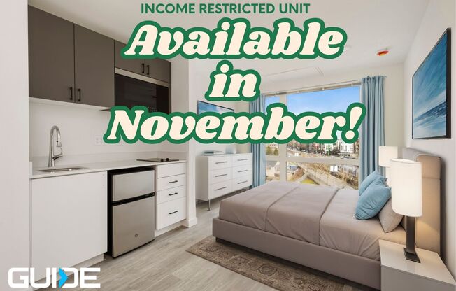 Studio, 1 bath, 252 sqft, $925, Unit 405 MFTE