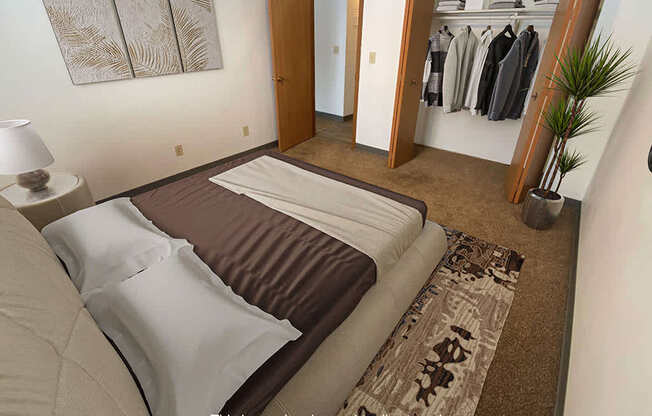 A bedroom with a bed, a lamp, a rug, a plant, and a closet with clothes.