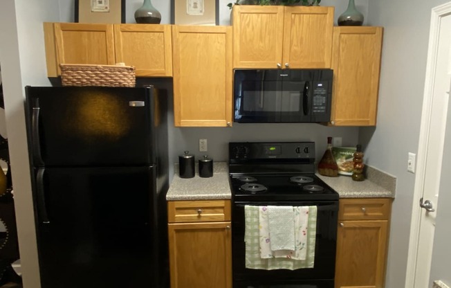 Edgewater Vista Apartments, Decatur Georgia, built-in black microwave in kitchen