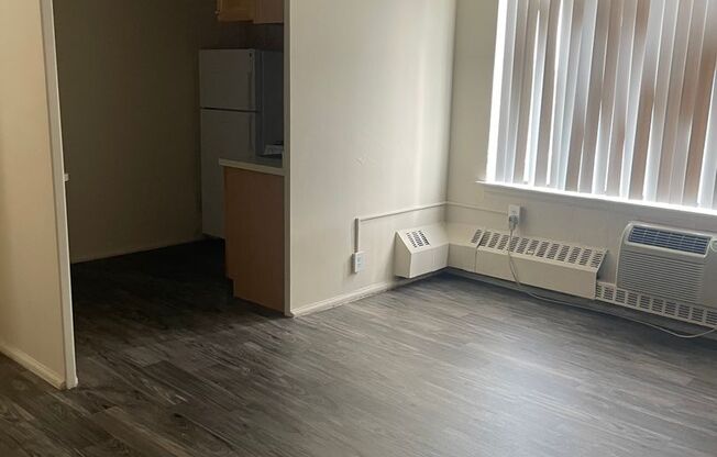 Studio, 1 bath, 400 sqft, $1,200, Unit 705