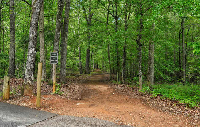 Trail in wooded area.