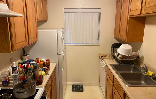 1B/1B Pet Friendly Apartment South of BYU