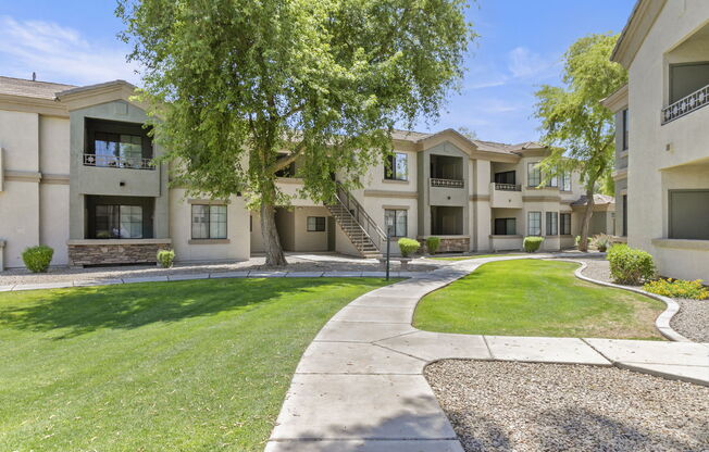 freshly painted exteriors and lush landscaping at Adiamo Palm Valley, Arizona, 85395