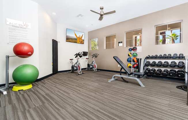 the gym at the flats at big tex apartments