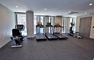 1 bed, 1 bath, 565 sqft, $3,575, Unit 8A