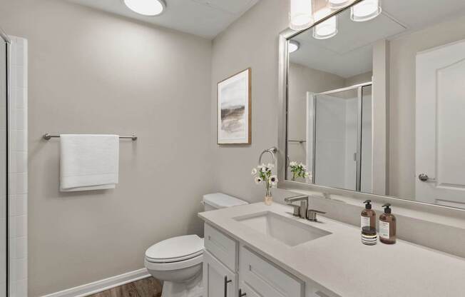 A bathroom with a toilet, sink, and mirror.