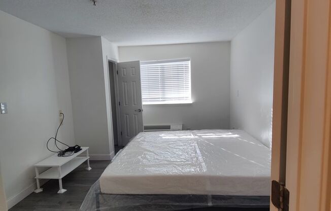 1 bed, 1 bath, 434 sqft, $1,275, Unit 135