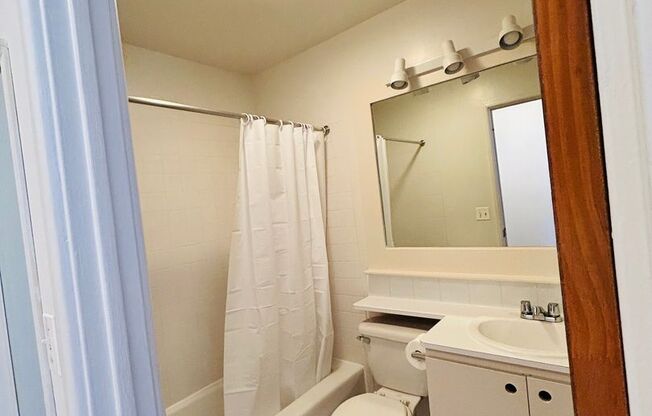 Studio, 1 bath, 356 sqft, $1,280, Unit 410