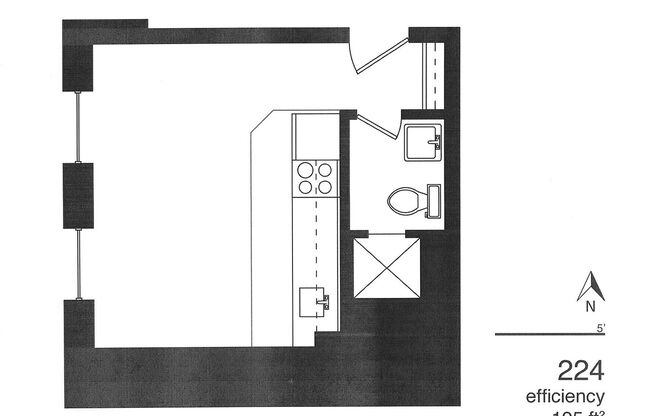 Studio, 1 bath, 195 sqft, $475, Unit 224