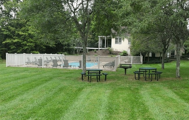 Welcome to Silvertree Apartments