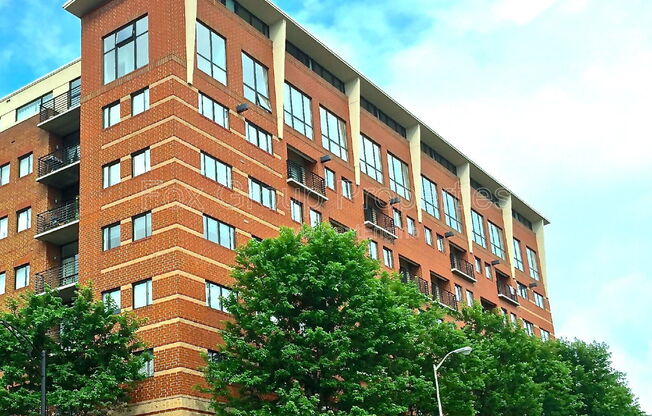 715 N Church St Unit 212