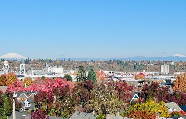 #230-Mountain View Village