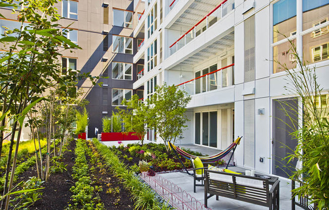 Courtyard at Astro Apartments, Seattle, Washington